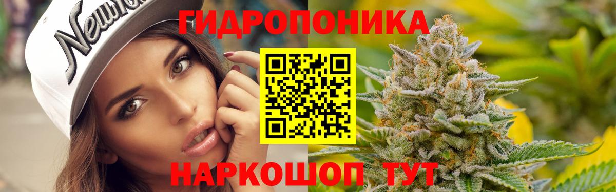 Шишки марихуана планчик  Бошки марихуана марихуана  Вход с VPN  Шадринск  Шишки марихуана AK-47  Марихуана Ganja 
